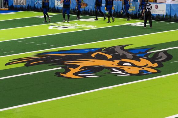 Minnesota Monsters Announce Where They'll Play After Leaving Duluth ...
