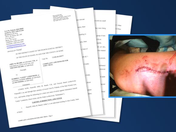 Boise County Commissioner accused of stabbing minor following jet ski ...