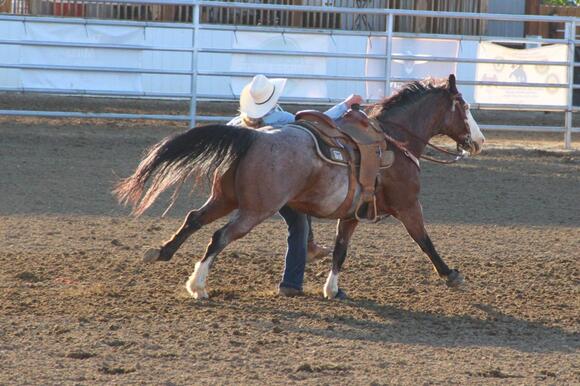 2026 Wyoming State High School Finals Rodeo Results and National ...