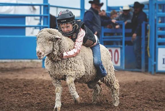 Saddle up for fun: Weeklong celebration of cowboy life rides into town ...
