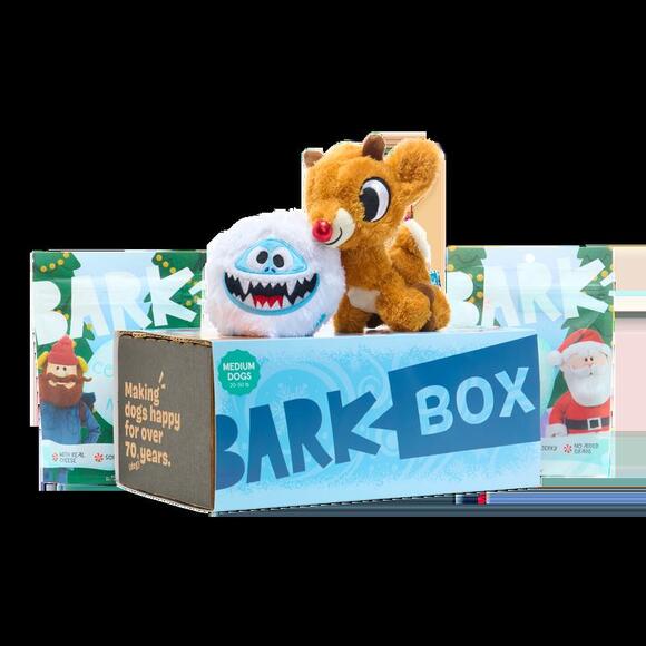 WOOF! BarkBox teams up with NYC rescue group for 1st ever holiday box ...