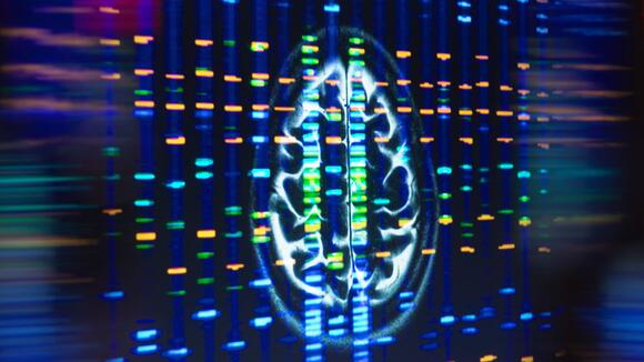 A gene variant triples the risk of getting Alzheimer's disease — fat ...