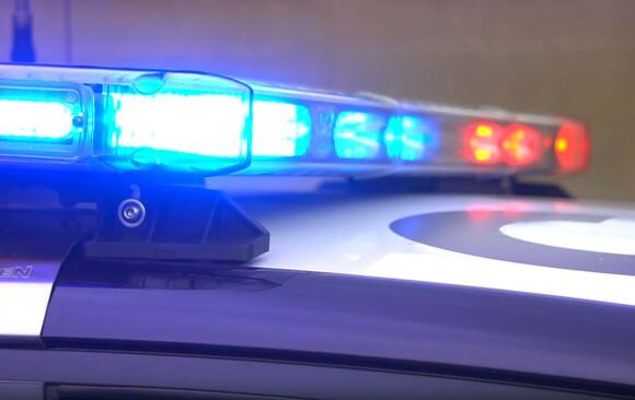 Rider Injured, Horse Killed After Being Struck By Car Near Ellensburg ...