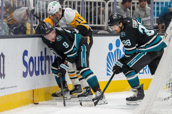San Jose Sharks Forced To Apologize After Massive Backlash For ...