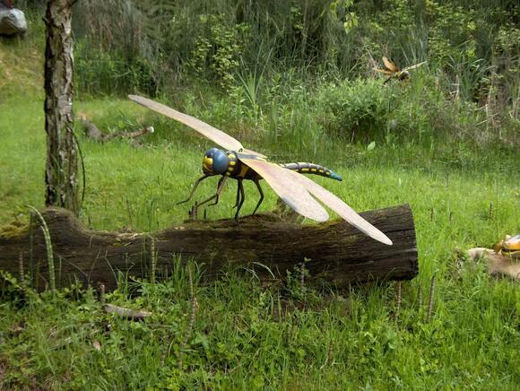 Gigantic Insects Ruled the Carboniferous Period Long Before Dinosaurs ...