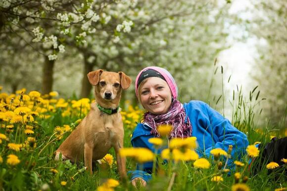 Animal Research Shows Dogs Look at the Right Side of Human Faces First ...