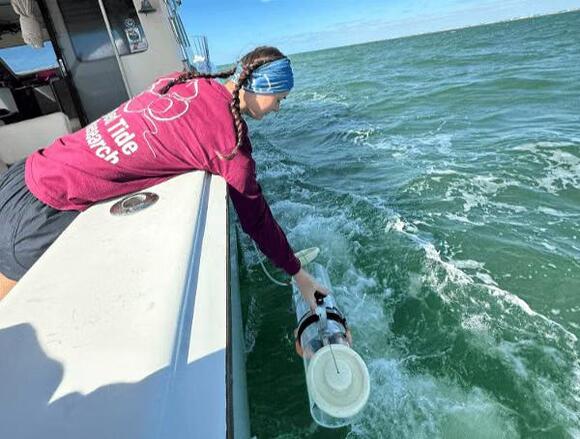 Red Tide Surfaces In Northwest Florida: First Bloom-Level Counts Hit St ...
