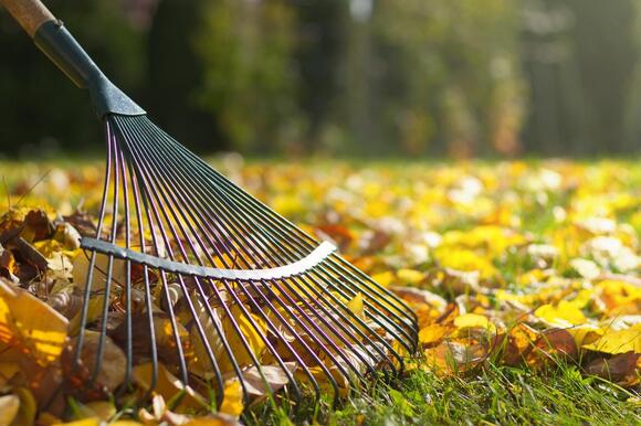 Great Falls Leaf Pickup Begins October 27 In Zone 1, Running Through ...