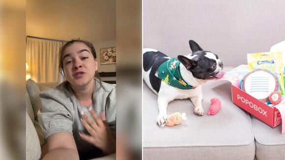 Dog Owner Whose House Burned Down Says BarkBox Sent a Free Box to ...