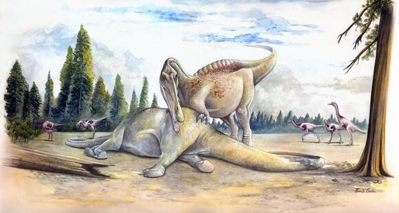 9 Fascinating Adaptations That Allowed Dinosaurs to Dominate for ...