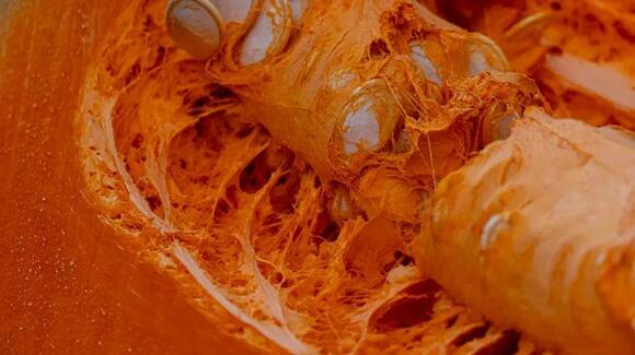 The Parts of a Pumpkin Most People Throw Away That Are Actually Edible ...