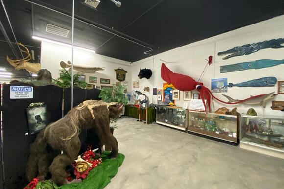 Bangor Welcomes The World's Largest Cryptozoology Museum With Rare ...