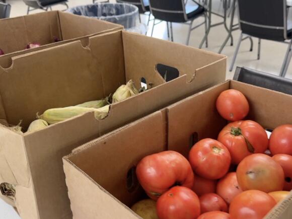 Food pantries struggle to keep shelves stocked after federal budget ...
