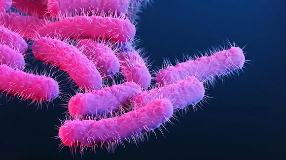 Superbug That Causes Bloody Diarrhea Spreading In New York - NewsBreak