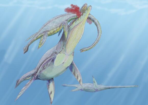 Meet the Giant Predators of the Late Cretaceous Seas - NewsBreak