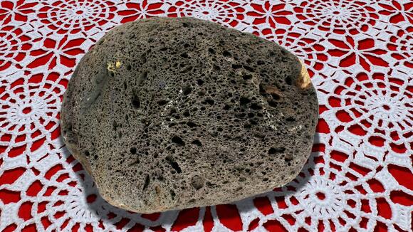 Gary Dahl made a fortune from the Pet Rock, but few people know how ...