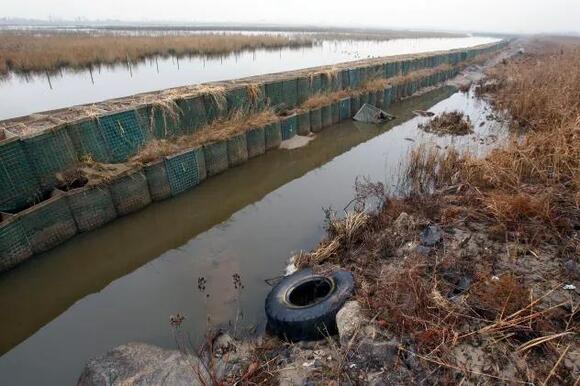 Do sandbags really stop flooding? How to use them the right way - NewsBreak