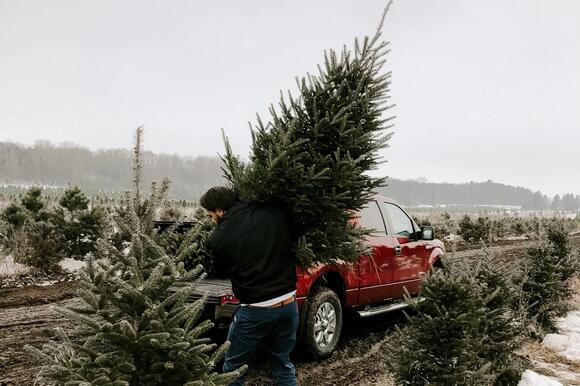 Ever Wonder How Michigan Moves a 60-Foot Christmas Tree? - NewsBreak