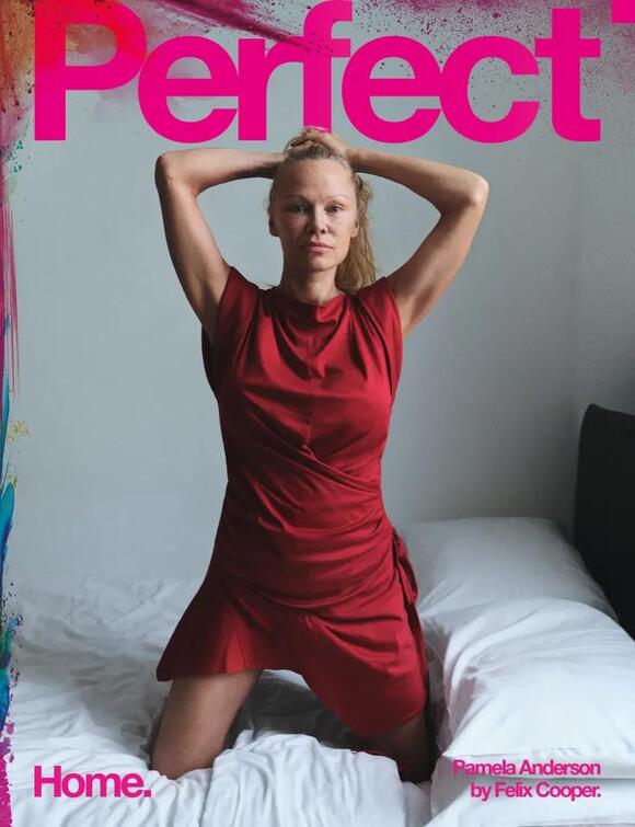 pamela anderson red dress Pamela Anderson (Red Dress) Half Body Buddy