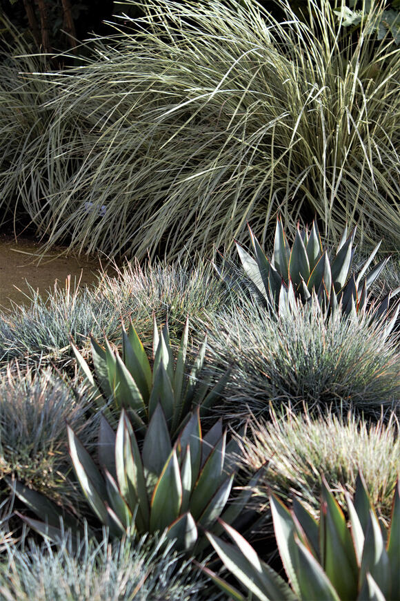 10 Things You Need to Do in Your Garden This Fall