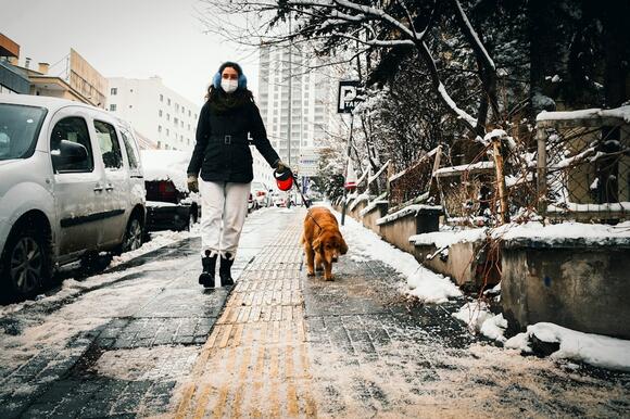 Should Dogs Be Treated Like Children? - NewsBreak