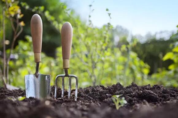 Florida Man Arrested After Gardener Fatally Shot In Random Ocala Attack ...