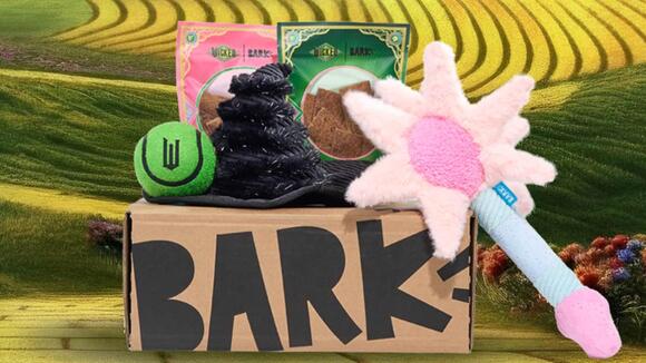 BarkBox Went Full Oz With Its Wicked-Themed Dog Box - NewsBreak