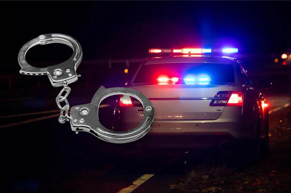Police Rescue Over 100 Cats From Apartment In Upstate New York - NewsBreak