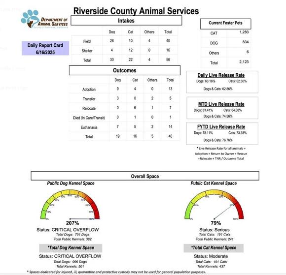RivCo Animal Shelters implement new field day program for sheltered ...