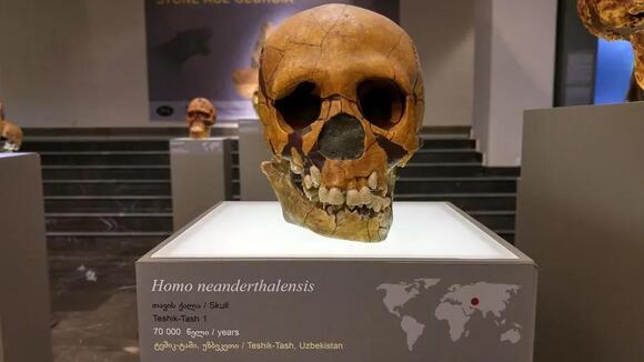 The Incredible Journey: Tracing Human Migration Across Ancient ...