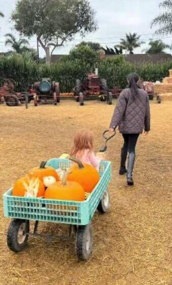 Prince Harry and Meghan take Archie and Lillibet to the pumpkin patch in  new family video - NewsBreak