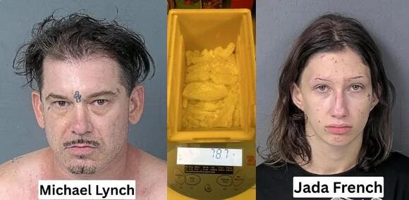 Spring Hill Drug Bust: Nearly 100 Grams of Meth, Fentanyl Seized in ...