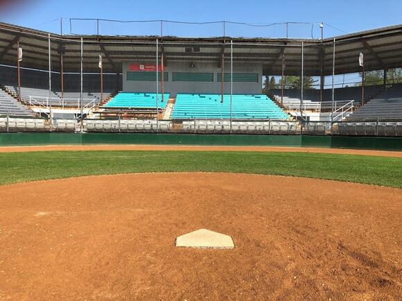 Rochester Honkers Opt Out of Mayo Field Lease, Making 2026 Team's Final ...