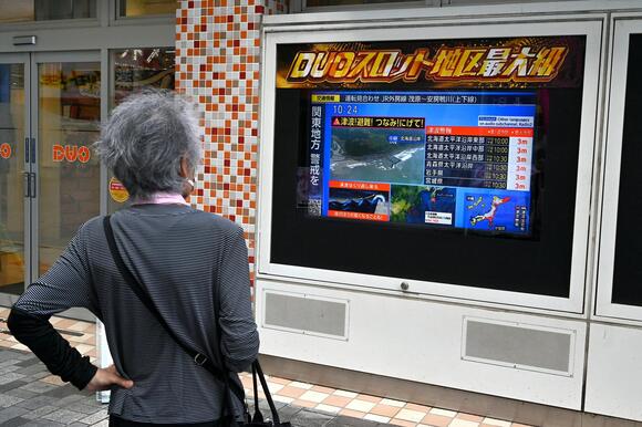 Japan tsunami government response