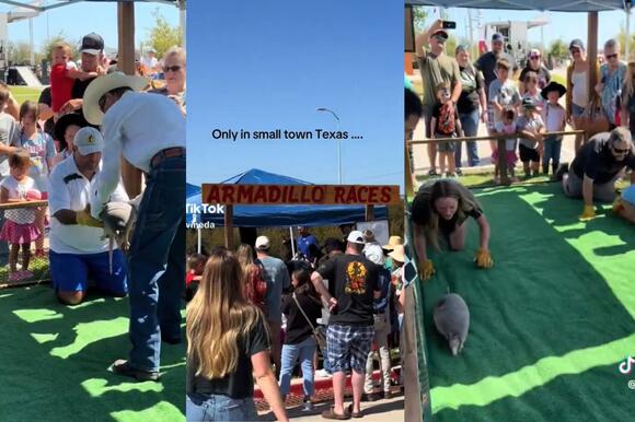 Texas Fairs Bring Food Music and Armadillo Racing Fun - NewsBreak