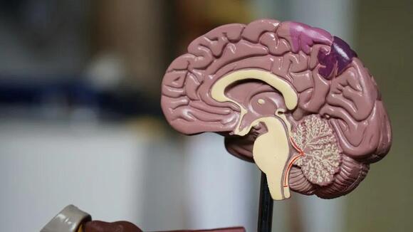 What Scientists Think Is Actually Happening in Your Brain During Déjà ...