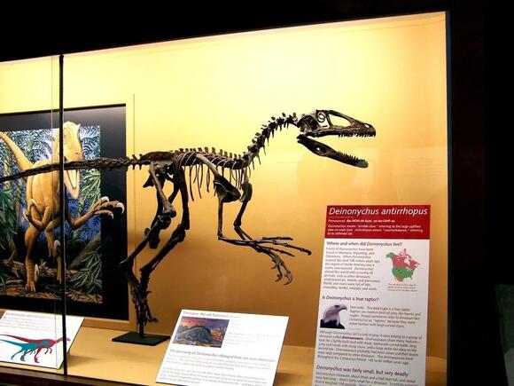4 Iconic Dinosaur Fossils That Rewrote Prehistoric History - NewsBreak