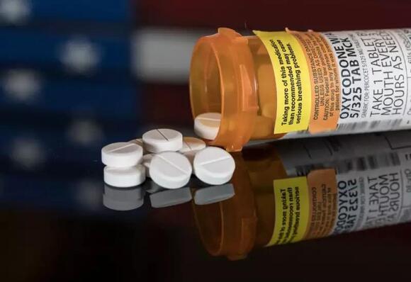 Vet Accused of Using Dead Dog in Prescription Drug Scheme - NewsBreak
