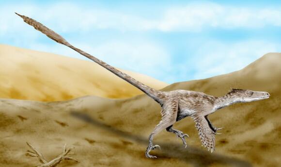 How Fast Could Velociraptors Really Run? - NewsBreak