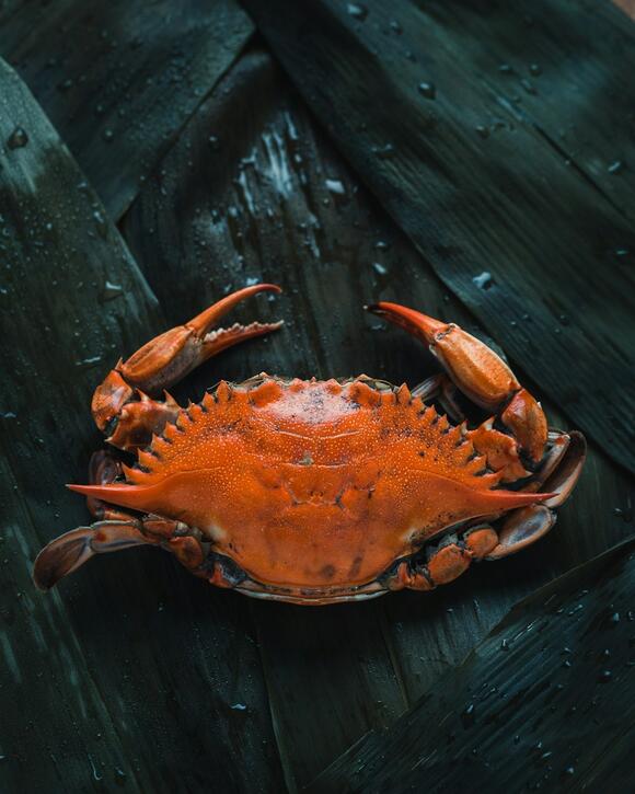 San Francisco’s Fisherman’s Wharf Hooks Visitors with Off-the-Boat Crab ...