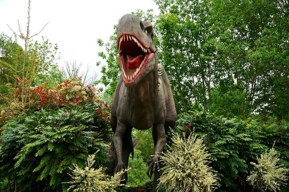 T. rex: Apex Predator or Opportunistic Scavenger? Clues From Montana ...