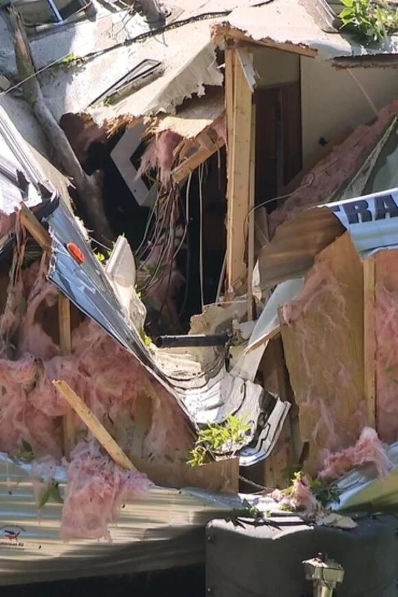 A Tree Crushed Her Michigan Home During the Storm and She Was Trapped ...
