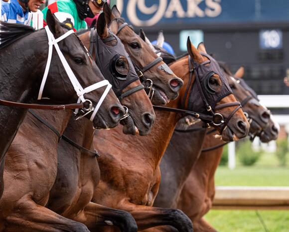 Belmont Stakes 2026: What Is The Best Post Position Gate? - NewsBreak