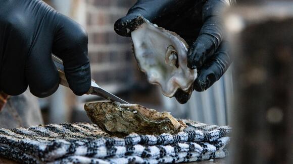 Rearview Mirror: Big Laughs at Seattle Rep, a Sloth Surprise, and a ...