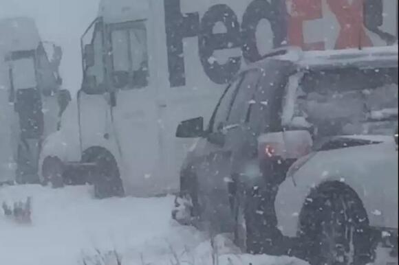 Can Trees Explode in Extreme Cold in Michigan? - NewsBreak