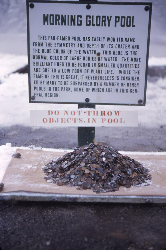 Yellowstone's Morning Glory Pool Is Only RainbowColored Because Of Trash