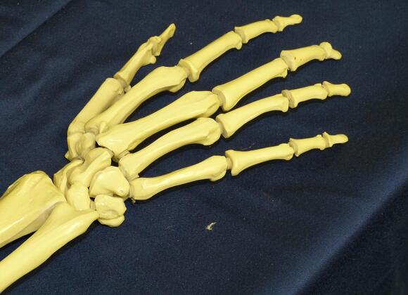 Why Some People Are Naturally Double-Jointed in Only Certain Fingers ...