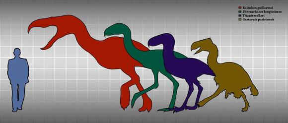Prehistoric Birds Were Far More Diverse and Terrifying Than Dinosaurs ...