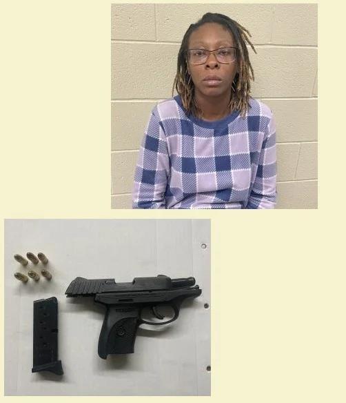 Harford County woman arrested after brandishing handgun in I-95 road ...