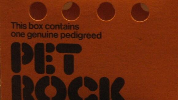 Gary Dahl made a fortune from the Pet Rock, but few people know how ...